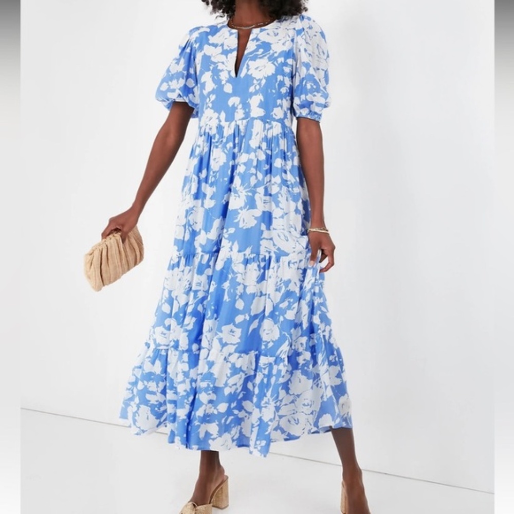 Hyacinth House by Tuckernuck Blue and White Floral Cisco Maxi Dress